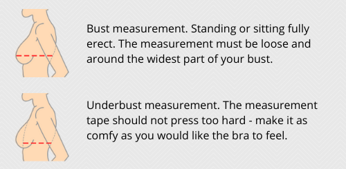 36DD/E bra size: chest and cup measurements, sister sizes in
